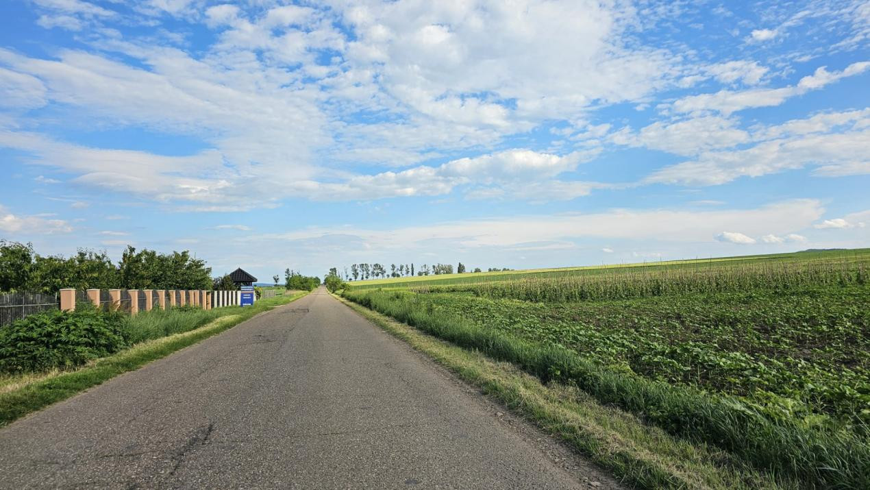 TEREN INTRAVILAN 29.800 MP CU PUZ REZIDENȚIAL – Intre Vorovesti si Voinesti 