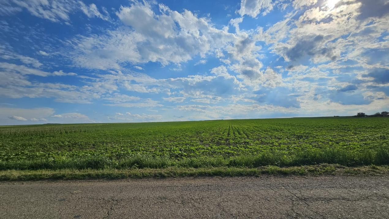 TEREN INTRAVILAN 29.800 MP CU PUZ REZIDENȚIAL – Intre Vorovesti si Voinesti 