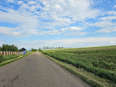 TEREN INTRAVILAN 29.800 MP CU PUZ REZIDENȚIAL – Intre Vorovesti si Voinesti 