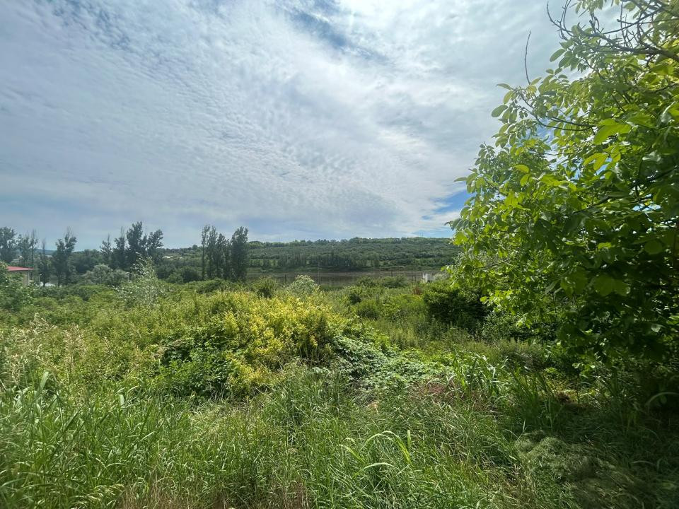 Teren 2000 mp Miroslava - str. Debarcaderului / Lacul Ezareni