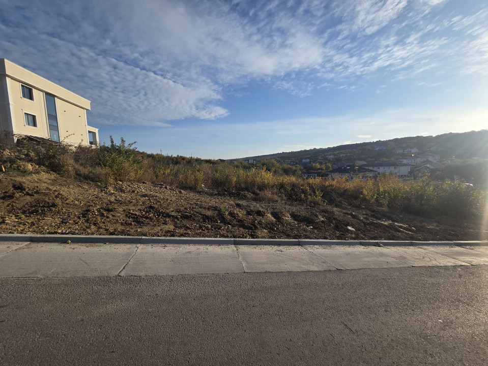 Teren intravilan Visan 3000 mp