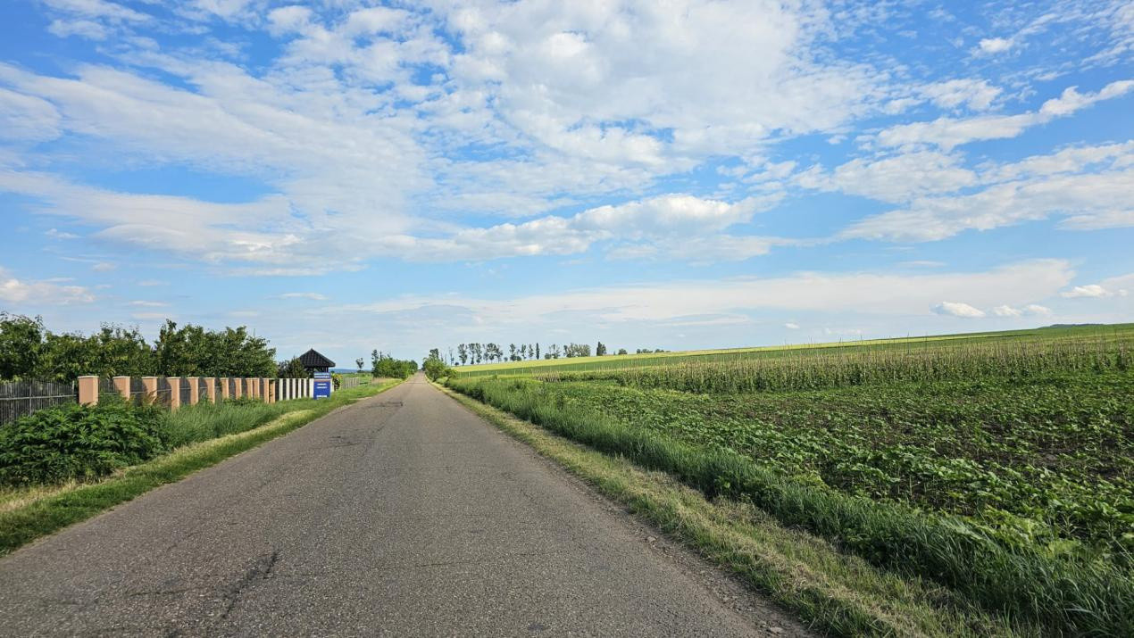 Teren intravilan | PUZ aprobat | 14900 mp | intre Vorovesti si Voinesti
