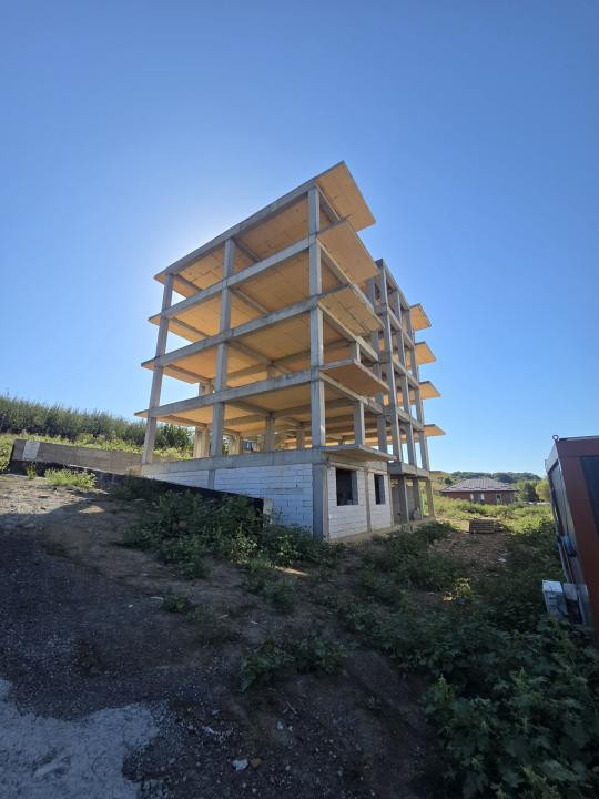 1 si 2 camere Vișan, strada principală 
