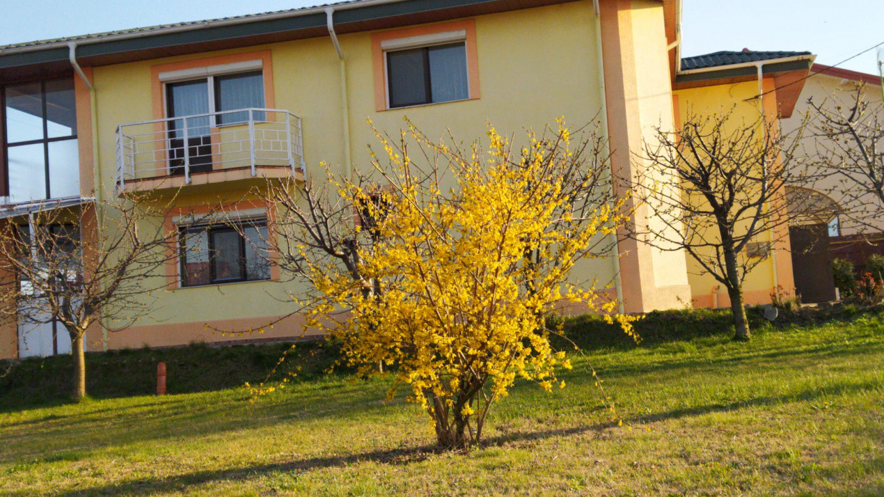 Vilă P+1 Bucium - Fermei, 310 mp utili, 2000 mp teren
