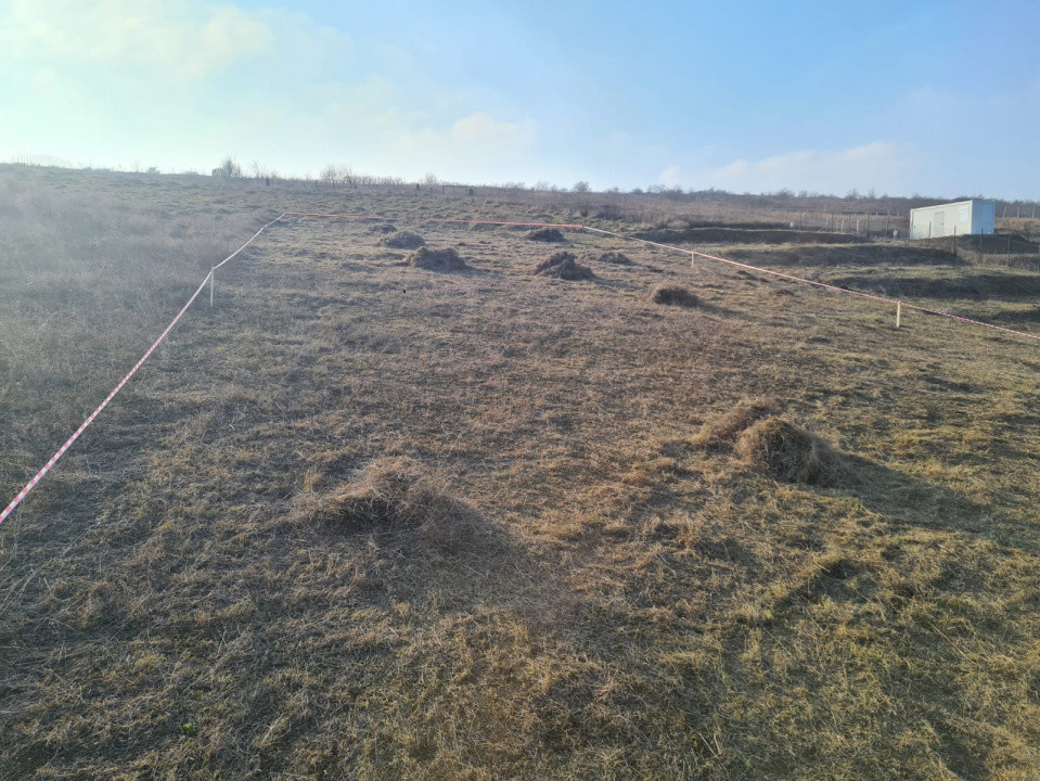 Teren intravilan 980 mp în zona extinsă Copou – oportunitate de investiție!