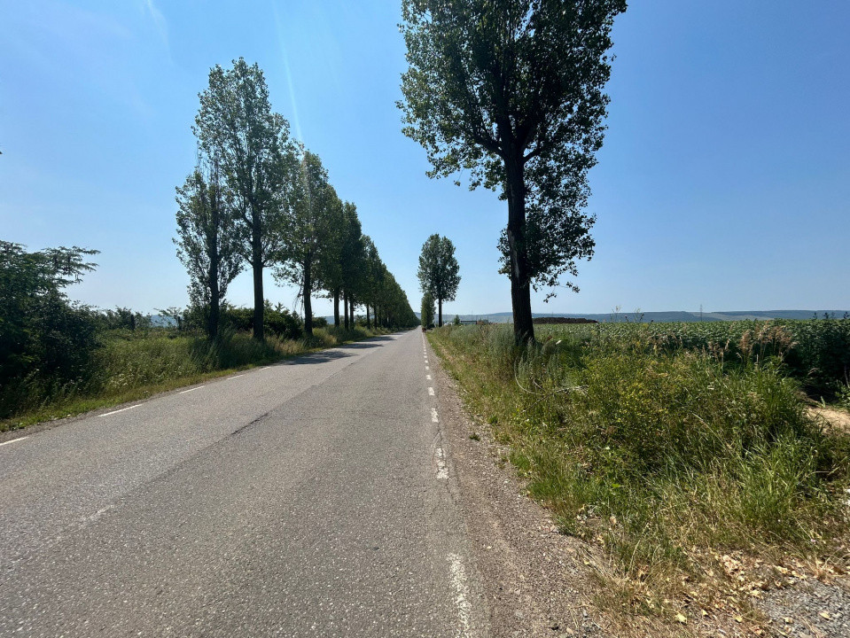 Teren strategic de 20.000 mp în Vorovești – ideal pentru dezvoltare rezidențiala