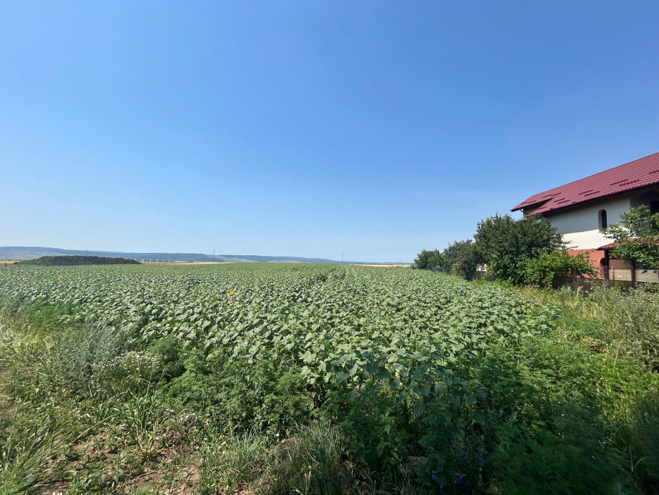 Teren strategic de 20.000 mp în Vorovești – ideal pentru dezvoltare rezidențiala