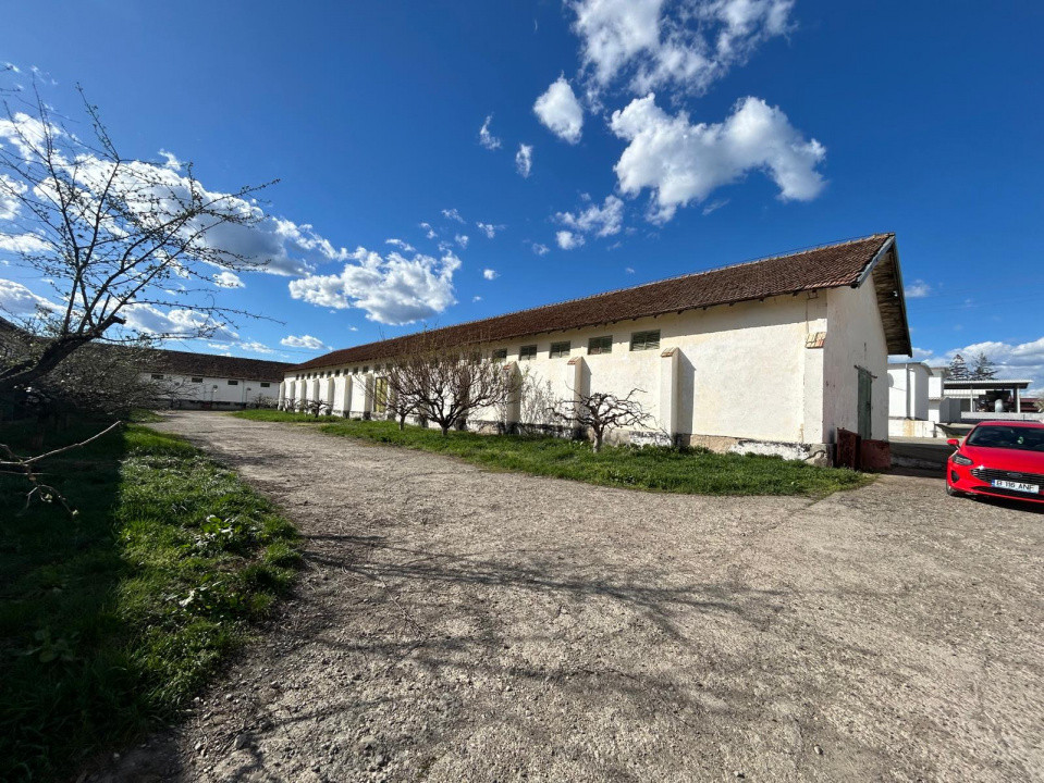 Proprietate industriala / depozitare / statie sortare seminte Budai - E58