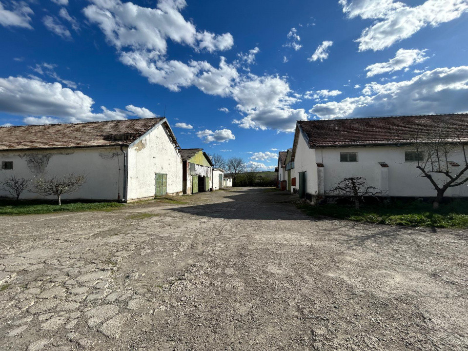 Proprietate industriala / depozitare / statie sortare seminte Budai - E58