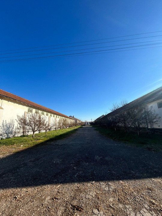 Proprietate industriala / depozitare / statie sortare seminte Budai - E58