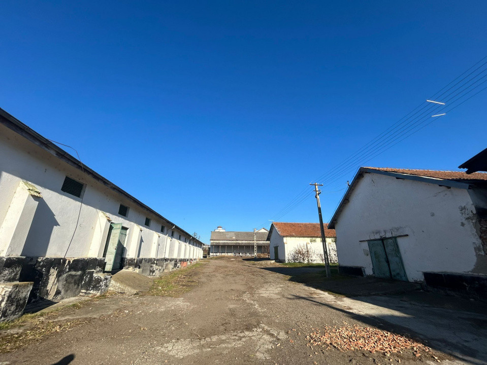 Proprietate industriala / depozitare / statie sortare seminte Budai - E58