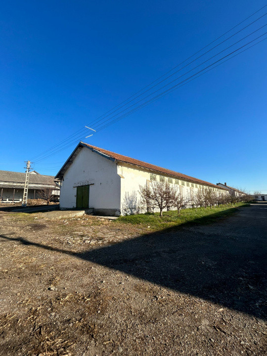 Proprietate industriala / depozitare / statie sortare seminte Budai - E58