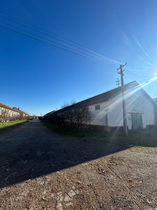 Proprietate industriala / depozitare / statie sortare seminte Budai - E58
