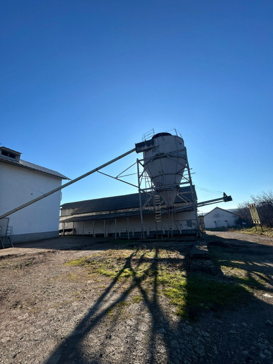 Proprietate industriala / depozitare / statie sortare seminte Budai - E58