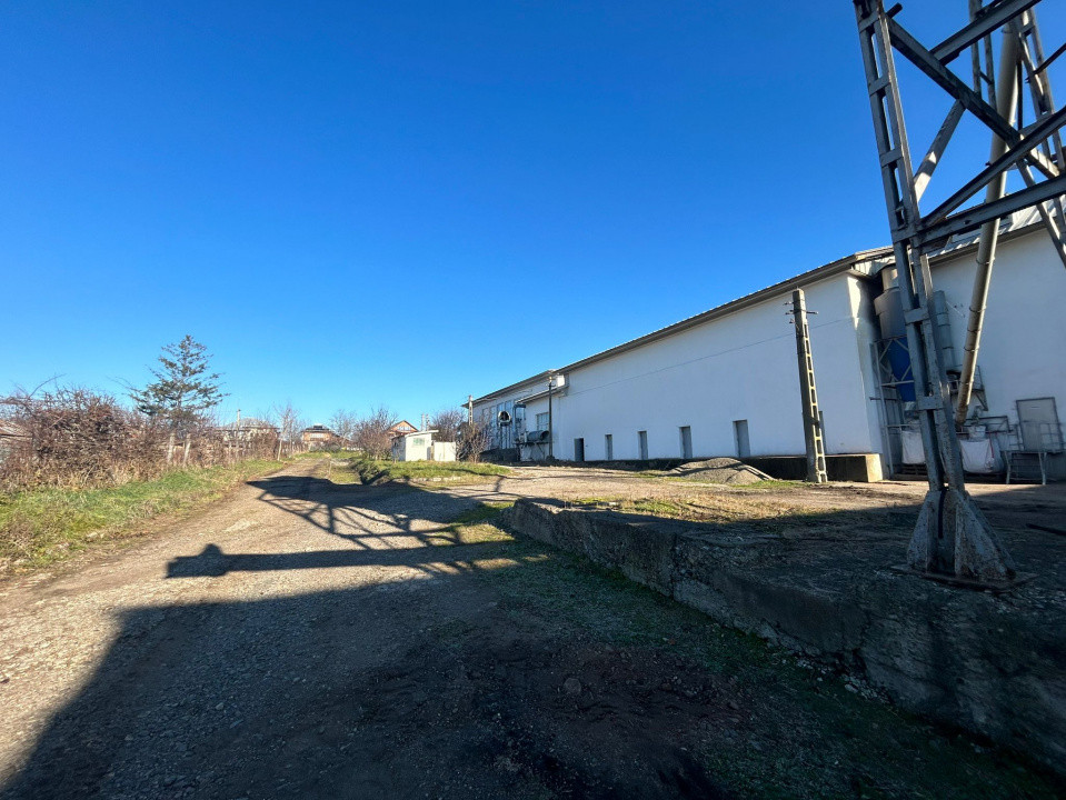 Proprietate industriala / depozitare / statie sortare seminte Budai - E58