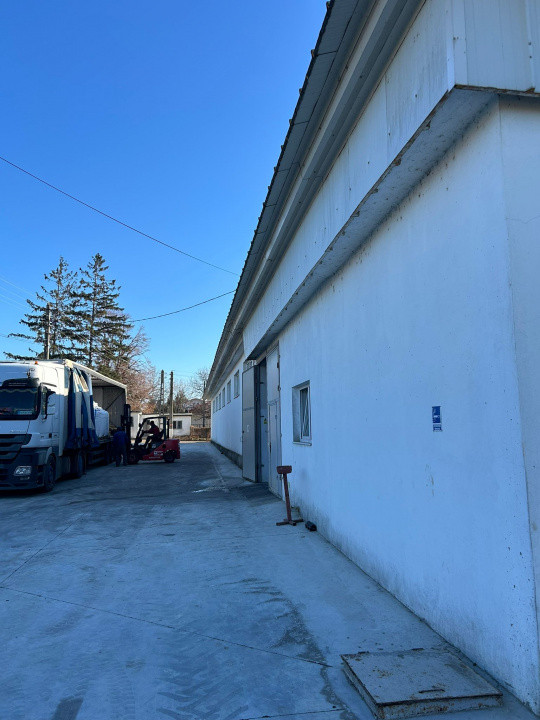Proprietate industriala / depozitare / statie sortare seminte Budai - E58