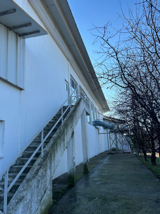 Proprietate industriala / depozitare / statie sortare seminte Budai - E58