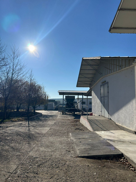 Proprietate industriala / depozitare / statie sortare seminte Budai - E58