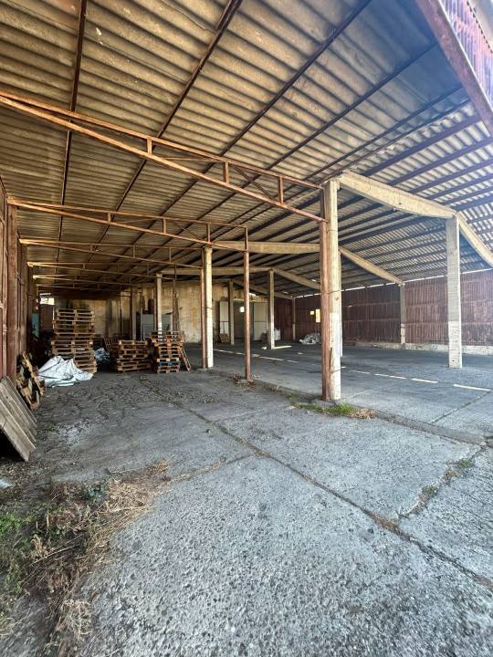 Proprietate industriala / depozitare / statie sortare seminte Budai - E58