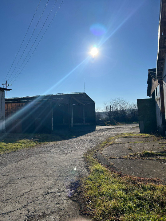 Proprietate industriala / depozitare / statie sortare seminte Budai - E58