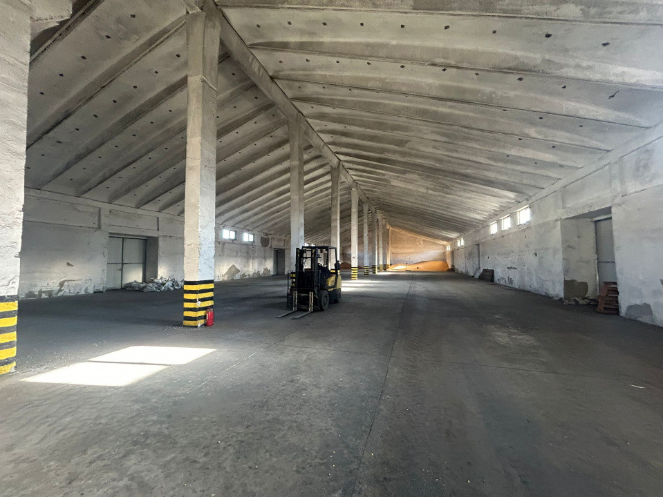 Proprietate industriala / depozitare / statie sortare seminte Budai - E58