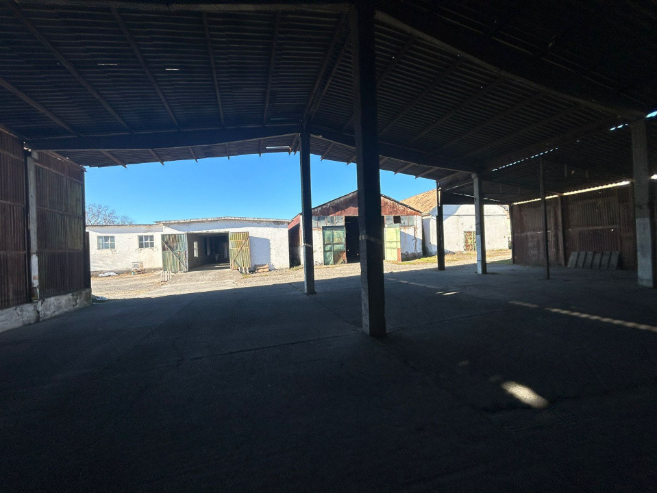 Proprietate industriala / depozitare / statie sortare seminte Budai - E58