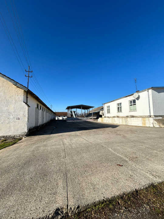 Proprietate industriala / depozitare / statie sortare seminte Budai - E58