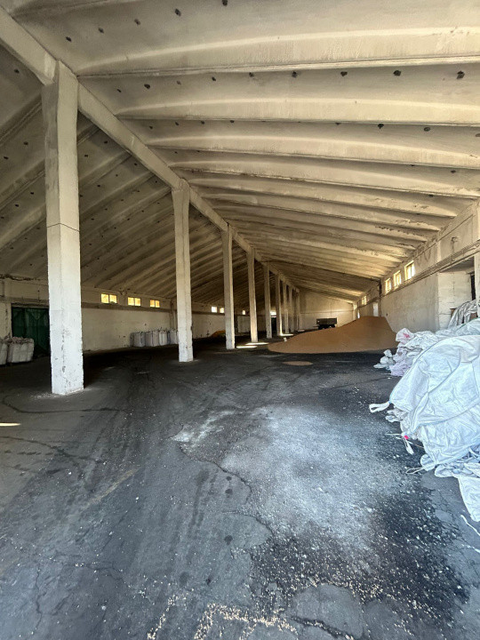 Proprietate industriala / depozitare / statie sortare seminte Budai - E58