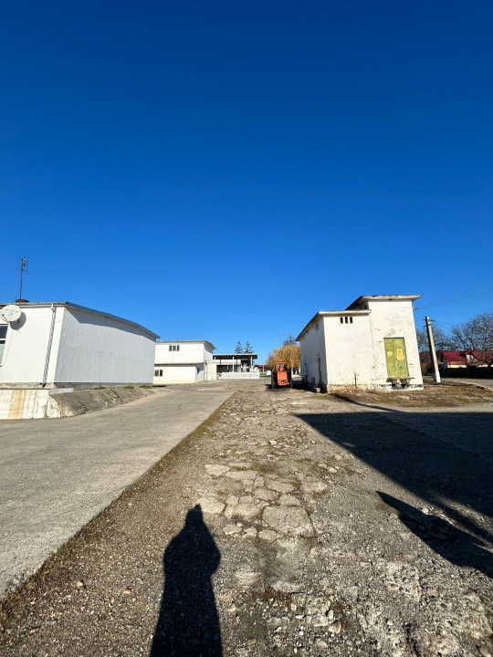 Proprietate industriala / depozitare / statie sortare seminte Budai - E58