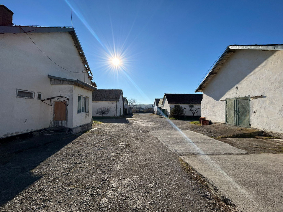 Proprietate industriala / depozitare / statie sortare seminte Budai - E58