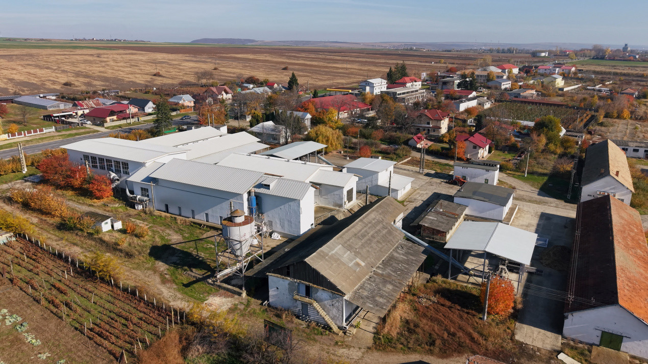 Complex Agroindustrial – Stație Uscare | Condiționare | Depozitare Seminte