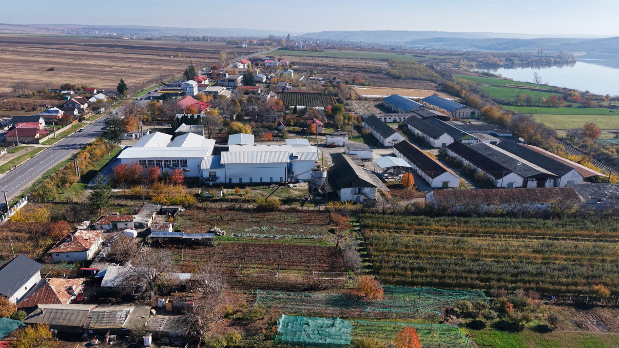 Complex Agroindustrial – Stație Uscare | Condiționare | Depozitare Seminte