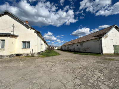 Proprietate industriala / depozitare / statie sortare seminte Budai - E58