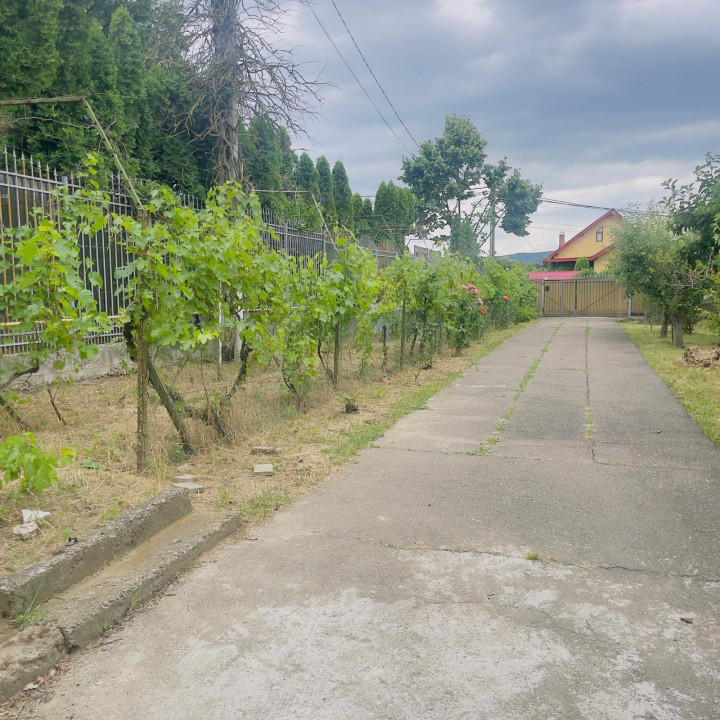 Casa de inchiriat | 2000 mp teren  | Barnova 