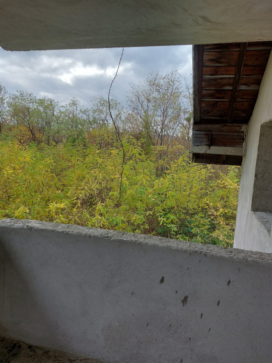 Casa la rosu 280 mp S.U. + 1650  mp teren | sat.Bordea-Iasi 