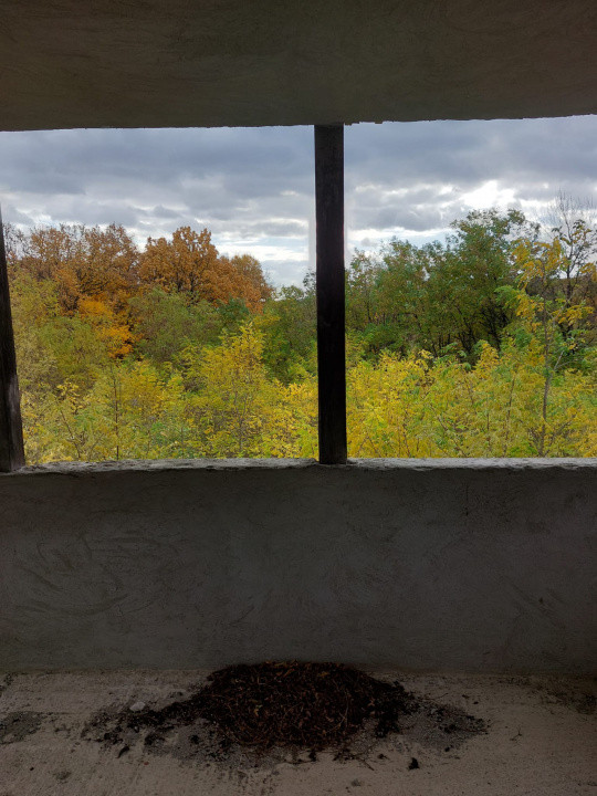 Casa la rosu 280 mp S.U. + 1650  mp teren | sat.Bordea-Iasi 