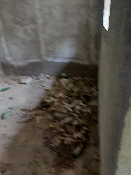 Casa la rosu 280 mp S.U. + 1650  mp teren | sat.Bordea-Iasi 