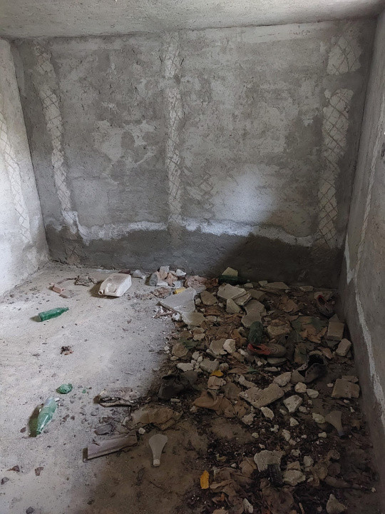 Casa la rosu 280 mp S.U. + 1650  mp teren | sat.Bordea-Iasi 