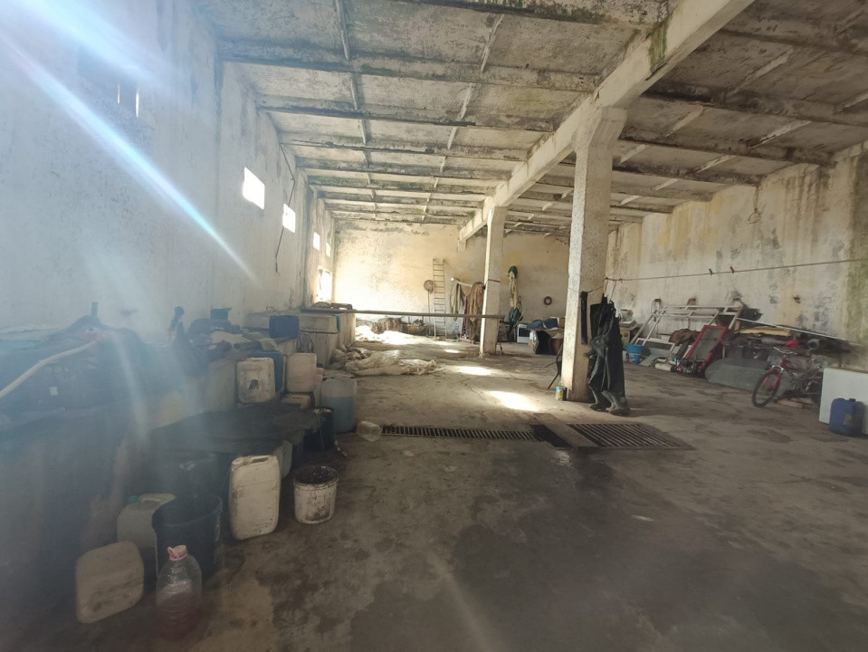 Fermă piscicolă 1100 ha - Chilia Veche Delta Dunării