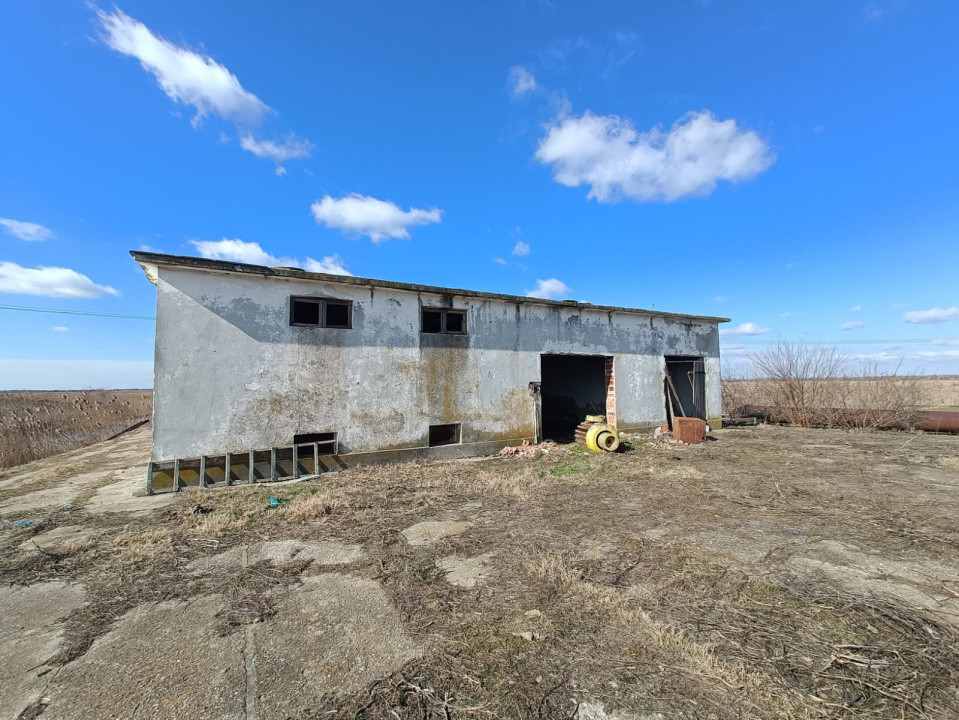 Fermă piscicolă 1100 ha - Chilia Veche Delta Dunării