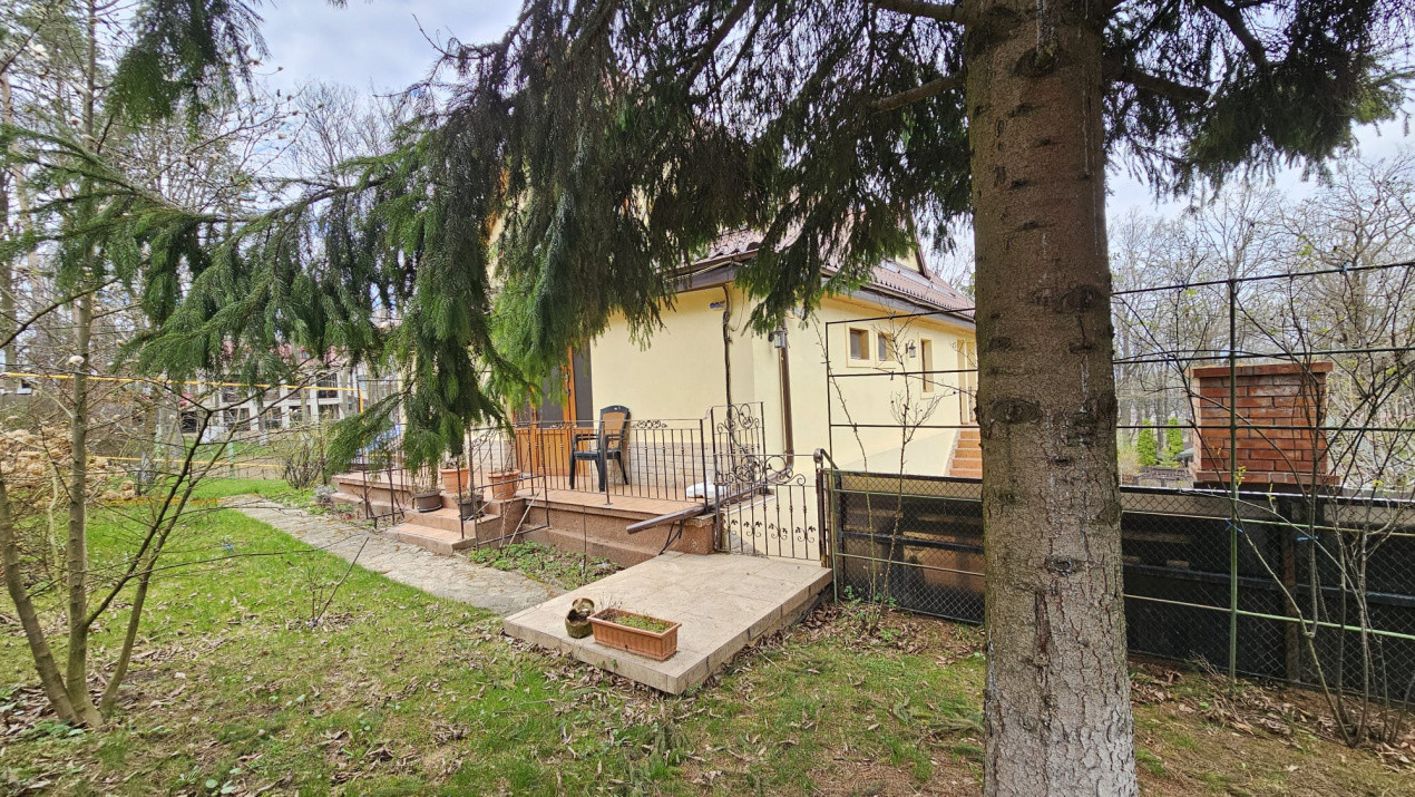 Casa de vanzare in padure | Bucium | Cartier select, restrans 