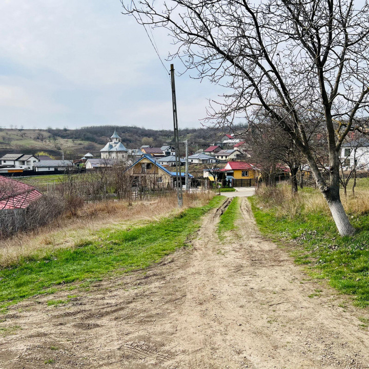 Teren intravilan 549 mp, 23 ml deschidere Miroslava - str. Balciu