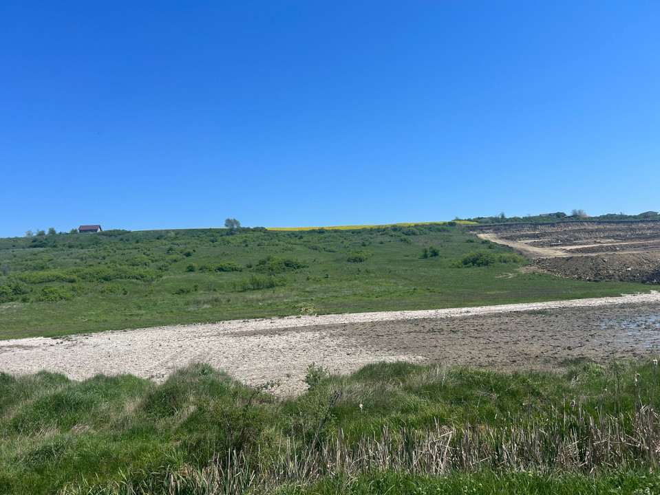 TEREN EXTRAVILAN 15.000 mp | Miroslava – Valea Adanca | 25 €/mp 