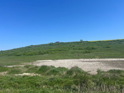 TEREN EXTRAVILAN 15.000 mp | Miroslava – Valea Adanca | 25 €/mp 